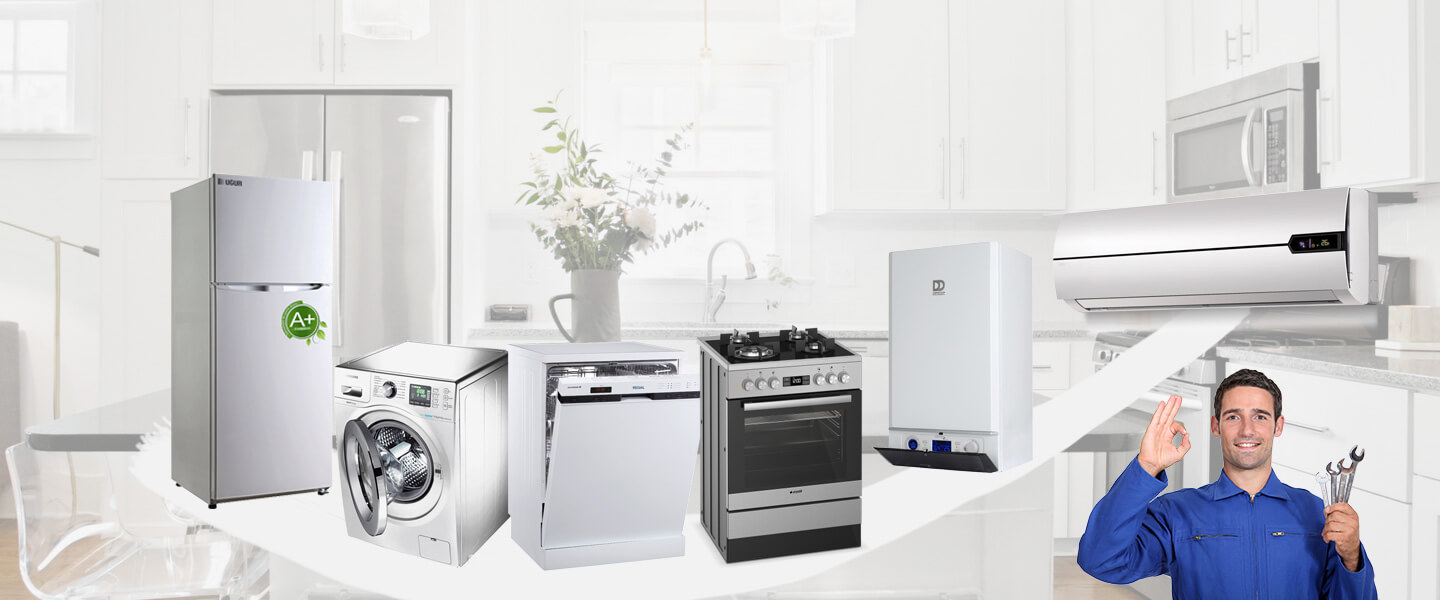Lice Gorenje Servisi